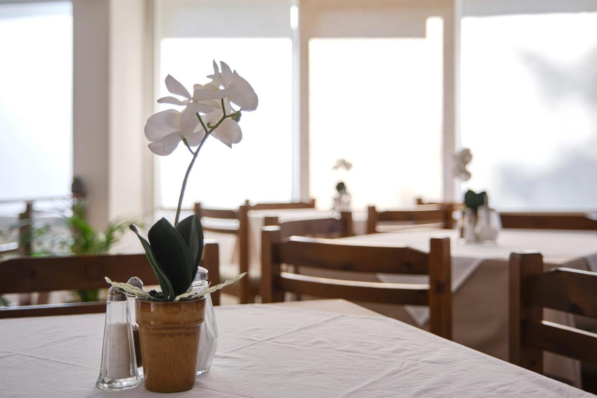 "Rex Πολίτη" Hotel Loutra Ipatis Ngoại thất bức ảnh